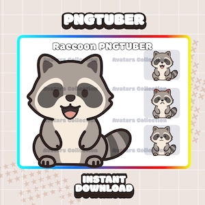 Pngtuber - Raccoon pngtuber model | Kawaii | Chibi | Ready For Twitch | VTuber Avatar Streaming | Vtuber Assets | OBS | Premade PNG Tuber