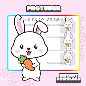 Cute Bunny pngtuber model | Kawaii | Chibi | Ready For Twitch | VTuber Avatar Streaming | Vtuber Assets | OBS | Premade PNG Tuber GIFTuber