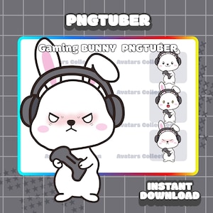 Cute Bunny pngtuber model | Kawaii | Chibi | Ready For Twitch | VTuber Avatar Streaming | Vtuber Assets | OBS | Premade PNG Tuber | GIFTuber