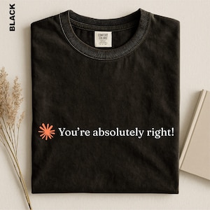 May include: A black crew neck t-shirt featuring a small orange sunburst icon to the left of the white text that reads, "You're absolutely right!" The shirt has a Comfort Colors brand label on the inside of the collar and a short-sleeved design.