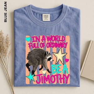 May include: A blue t-shirt featuring a graphic of a raccoon, a yellow star, and a teal star. The text reads: IN A WORLD FULL OF ORDINARY BE A JIMOTHY. The design includes pink and orange vertical stripes and small heart icons in teal and pink.