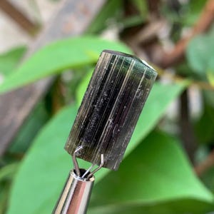 16.80 Carat beautiful terminated green cap Tourmalin crystal from Afghanistan
