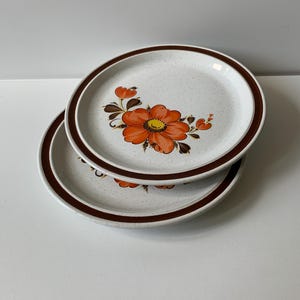 Set of Vintage Valencia Poppy Stoneware Dessert Plates – 1970s Retro Floral Design