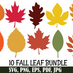 May include: A collection of ten colorful fall leaf illustrations in various shapes and shades of orange, red, yellow, and green. The text "10 Fall Leaf Bundle" is displayed below the leaves, along with file type options.