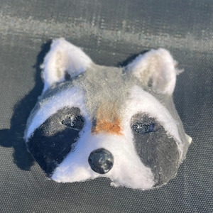 Raccoon Mask