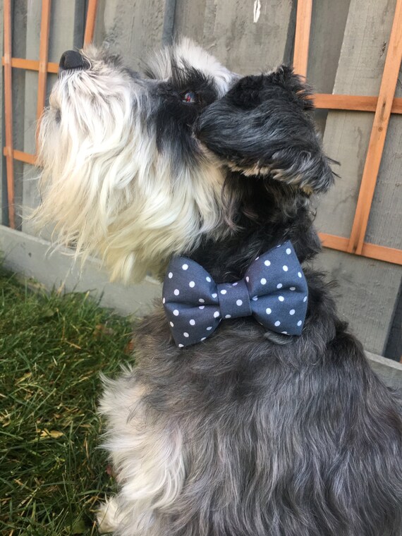 etsy dog collar bow tie