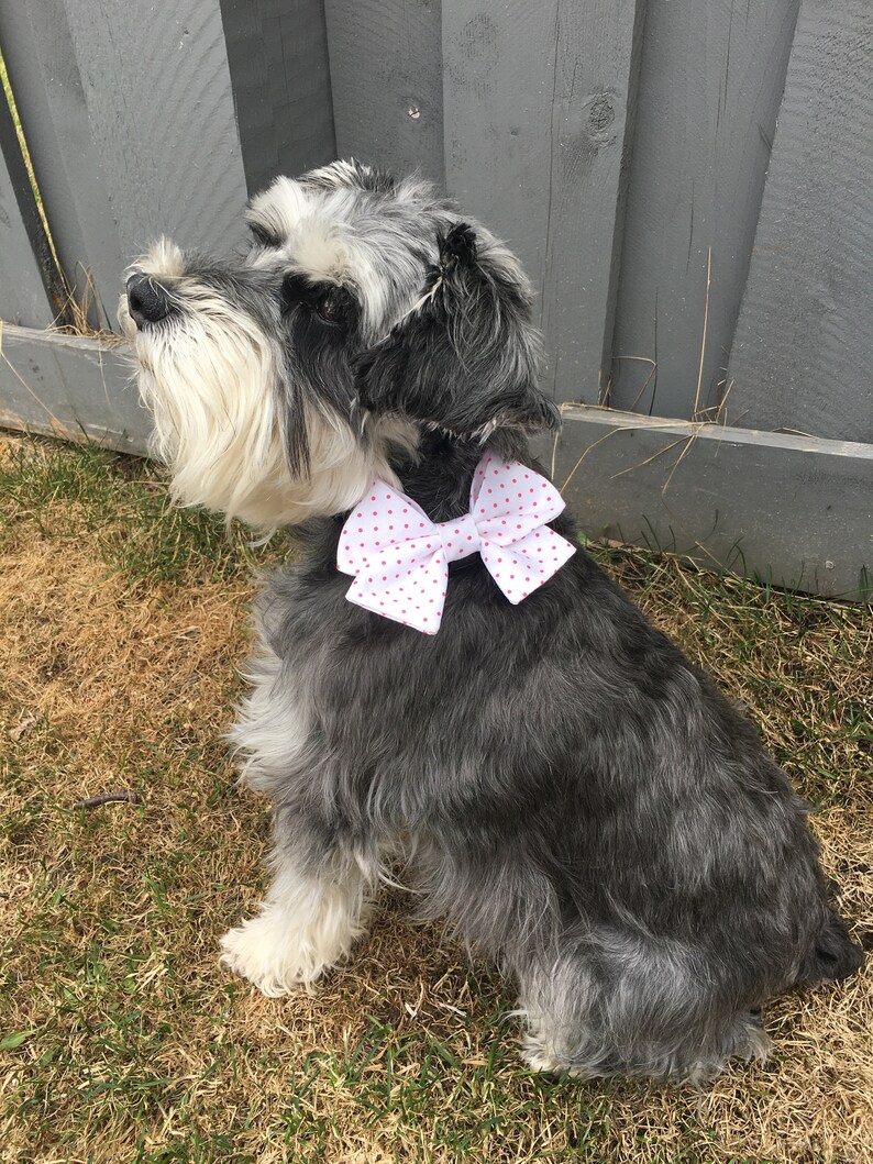 Dog Bow Tie Pet Bow Halloween Bow Cat Bow Dog Bow Collar Bow Halloween Dog Collar Bow Tie Cat Bow Tie Bow Halloween Dog Collar Bow