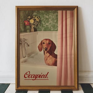 May include: Framed print featuring a dachshund dog in a bathtub with bubbles, behind a pink shower curtain. The word "Occupied" is printed in red script at the bottom. The background includes a floral wallpaper and a bouquet of flowers.