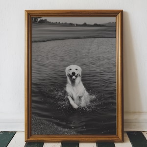 Funny Golden Retriever Golf Art Print, Vintage Black and White Photo Dog Golf Wall Art, Dog Playing Golf, Printable Digital Download