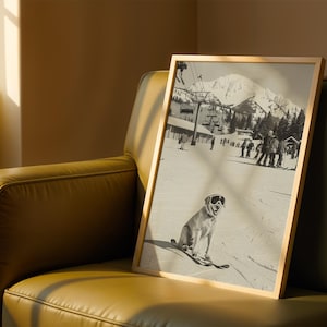 May include: A framed black and white photograph of a dog wearing ski goggles and skis, sitting on a snowy slope. The background shows a ski resort with skiers, a ski lift, and a mountain range. The frame is a light wood color.