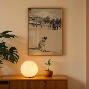 May include: A framed black and white print of a dog wearing sunglasses on skis, set against a snowy mountain backdrop. The print is in a wooden frame, hanging above a wooden cabinet with a glowing orb lamp and potted plants.