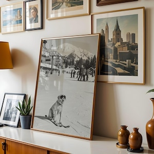 May include: A framed black and white photograph of a dog wearing goggles on skis, with a snowy mountain backdrop. The image is displayed on a white surface, alongside other framed art and a lamp with a mustard-yellow shade. A plant in a gray pot is also present.