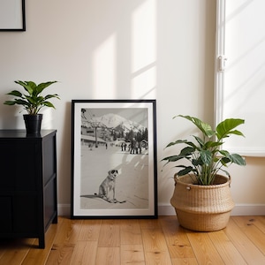 May include: A framed black and white print of a dog on skis in a snowy mountain scene. The print is leaning against a white wall, next to a black cabinet with a potted plant. A large woven basket with a green plant sits on the wooden floor.