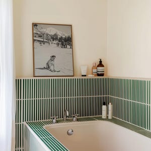 May include: A bathroom scene featuring a framed black and white photograph of a dog on skis in a snowy mountain setting. The room has green and white striped tile, a white bathtub, and toiletries on a shelf.