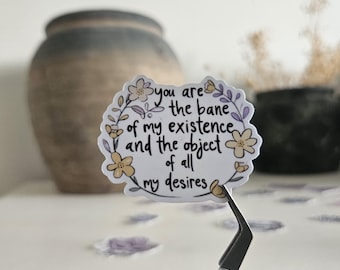 Bridgerton inspirierter Aufkleber: Kate und Antony 'Bane of My Existence' Romanze Bücherwurm Aufkleber