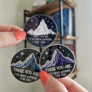 ACOTAR Inspired Kindle Sticker | There you are I&#39;ve been looking for you sticker | Rhysand & Feyre sticker | Romantasy decal accessory