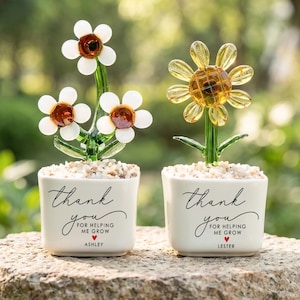 May include: Two small white ceramic pots with glass flower sculptures. One pot has three white flowers with brown centres, the other has a yellow flower. Each pot has the text "thank you for helping me grow" and a name.