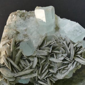 Könnte beinhalten: Ein Cluster aus hellblauen Aquamarin-Kristallen, eingebettet in eine Matrix aus grauem Glimmer. Die Kristalle sind durchscheinend und haben einen glasartigen Glanz.