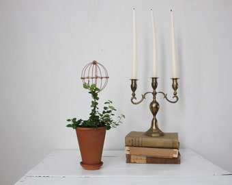 Sphere Topiary in Tall Terra Cotta Pot