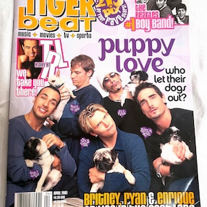 Tiger Beat - Backstreet Boys: Puppy Love (April 2001) Vintage, selten, ohne Etikett