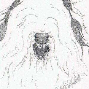 Original Dog Drawing-"Oh Yeah, I'm Cute"-Old English Sheepdog