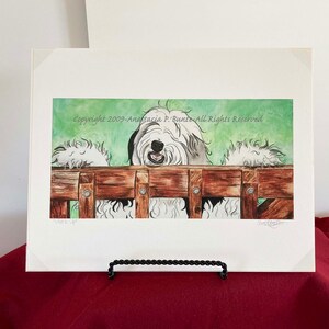 Old English Sheepdog Giclee Limited Edition Print