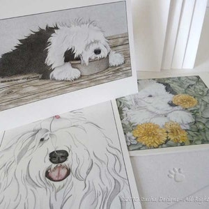 Könnte beinhalten: Drei Grußkarten mit Illustrationen von Old English Sheepdogs. Die erste Karte zeigt einen Hund, der mit dem Kopf auf einer Holzoberfläche liegt. Die zweite Karte zeigt einen Hund, der mit dem Kopf auf seinen Pfoten sitzt. Die dritte Karte zeigt einen Hund, der mit dem Kopf auf einem Bett aus gelben Blumen liegt.