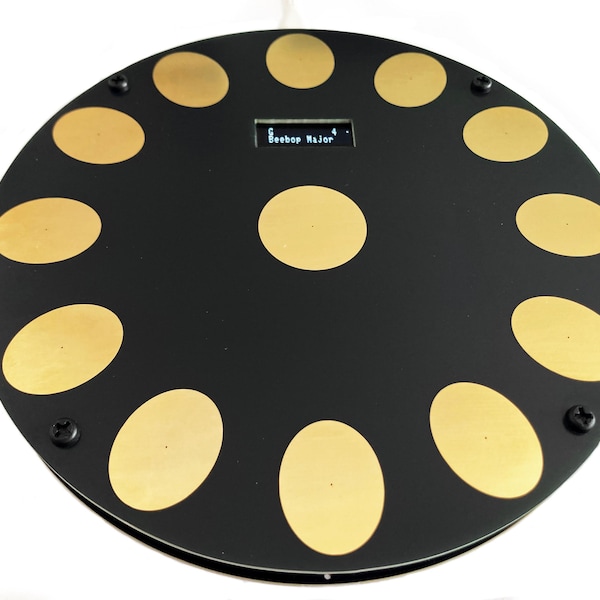 MIDIPan, en beröringskänslig tungtrumma/handpan-liknande MIDI-kontroller med looper och valfri ljudutgång