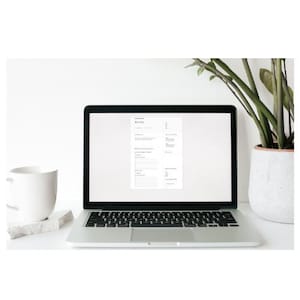 Puede incluir: Un portátil muestra una plantilla de currículum vitae con secciones para nombre, experiencia laboral y habilidades. Una taza blanca está sobre una pequeña piedra blanca, y una planta en maceta a la derecha. El fondo es blanco.