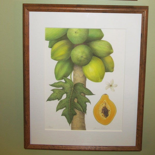 Papaya Tree and Fruit Botanical on Watercolor Paper Giclee Print