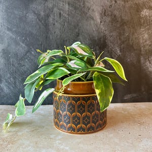 Hornsea Heirloom vintage plant pot