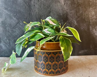 Hornsea Heirloom vintage plant pot