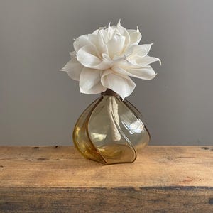 Fragrance Diffuser set Vintage/Antique Amber Falcon perfume bottle