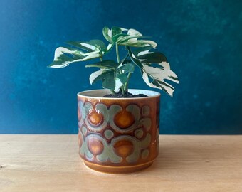 Hornsea Bronte mini plant pot