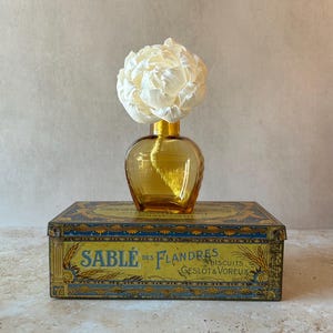 May include: A small amber glass vase containing a single white peony flower, resting on top of a rectangular vintage metal tin. The tin features blue and yellow decorative patterns with the text SABLE DES FLANDRES BISCUITS GESLOT & VOREUX.
