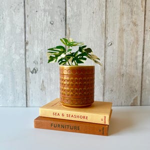 May include: A cylindrical ceramic planter with a brown and orange embossed floral pattern, containing a small variegated plant with green and white leaves, resting on two stacked books titled Sea & Seashore and Furniture.