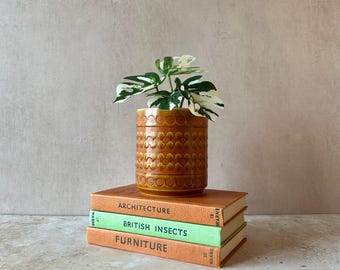 Vintage Hornsea Saffron plant pot