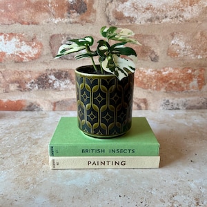 May include: A small variegated monstera plant in a cylindrical ceramic pot with a dark green and black geometric pattern, resting on two stacked books titled British Insects and Painting with light green and cream covers respectively.