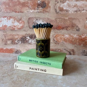 May include: A cylindrical ceramic holder with a dark green and black geometric pattern filled with wooden matches featuring black tips. The holder rests on two stacked books, a green one titled BRITISH INSECTS and a cream one titled PAINTING.