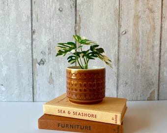 Hornsea Saffron mini plant pot