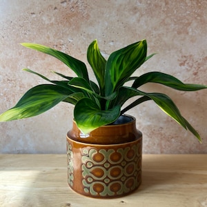 May include: A potted plant with variegated green and yellow leaves sits in a cylindrical brown ceramic planter. The planter features a repeating geometric pattern in shades of olive green and dark brown, with a smooth, glossy glazed finish.