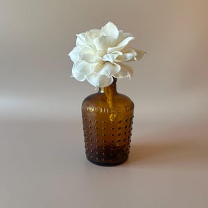 May include: A small amber-coloured glass bottle with a hobnail texture and the embossed text NOT TO BE TAKEN around the shoulder. A single large white flower with layered petals is placed inside the neck of the bottle, extending upwards.