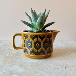 May include: A ceramic creamer jug featuring a mustard yellow and black geometric pattern with a handle and a spout. A small green succulent plant with pointed, speckled leaves is planted inside the jug, extending upwards from the top.