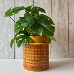 May include: A cylindrical ceramic planter with a glossy mustard yellow and burnt orange finish, featuring a repeating embossed floral pattern around the exterior, containing a green leafy plant with large, split, heart-shaped foliage.