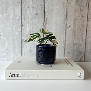 May include: A small variegated Monstera plant with green and white leaves potted in a dark blue ceramic planter featuring a repeating geometric pattern. The planter sits atop a white rectangular book with the text Artful Lifestyle printed on it.