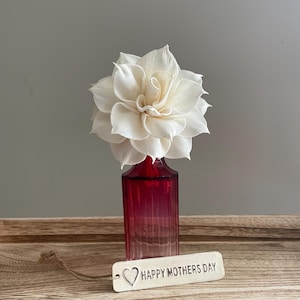 Fragrance Diffuser set antique cranberry glass