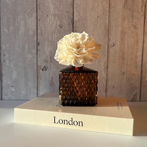 Mid century XL dark amber glass diffuser