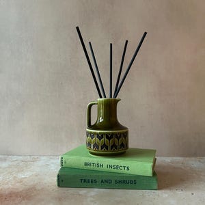 May include: A green ceramic jug with a handle and a repeating dark geometric pattern around the base, containing five black reed diffuser sticks. The jug rests on two stacked green books titled British Insects and Trees and Shrubs.