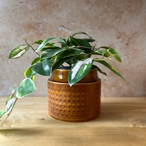 Hornsea Saffron vintage plant pot