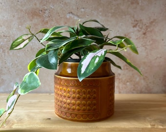 Hornsea Saffron vintage plant pot